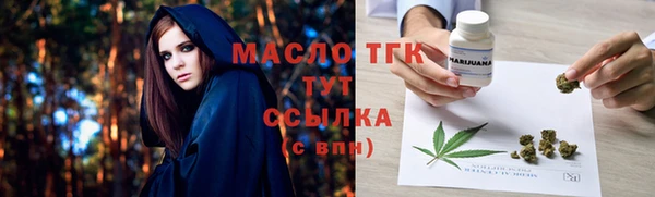 метадон Инта