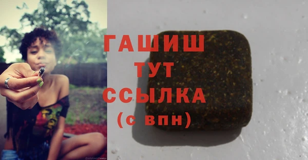 метадон Инта