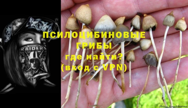 наркотики Инсар