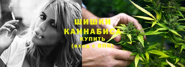 метадон Инта