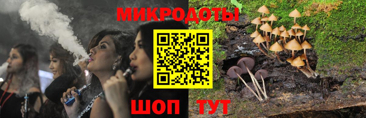 Псилоцибиновые грибы Psilocybe  Волгоград 