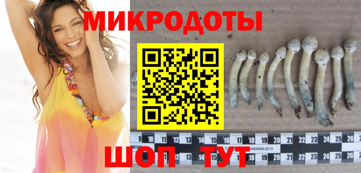 Волгоград  Галлюциногенные грибы GOLDEN TEACHER  Вход с VPN 