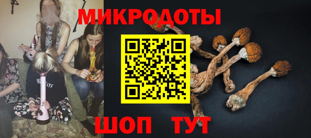 Галлюциногенные грибы Psilocybine cubensis Волгоград